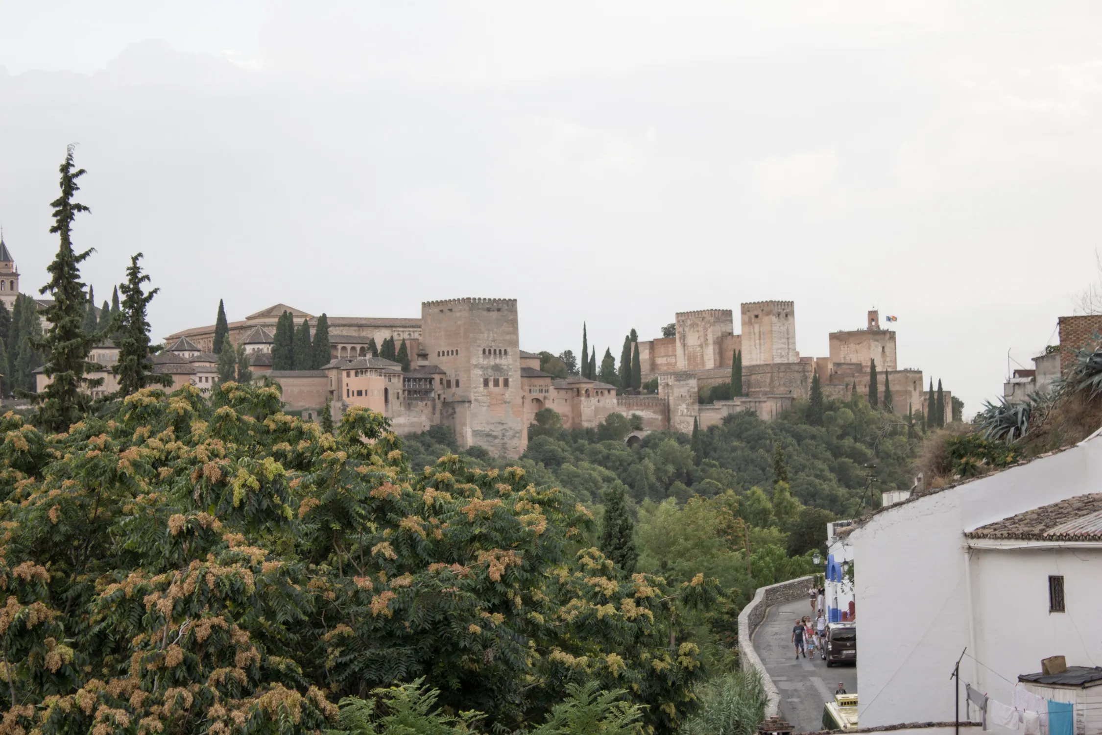 La Alhambra vista desde la terraza, sobre los árboles del valle del Darro